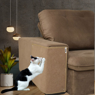 Carpete Arranhador de Sofá/Cama para Gato