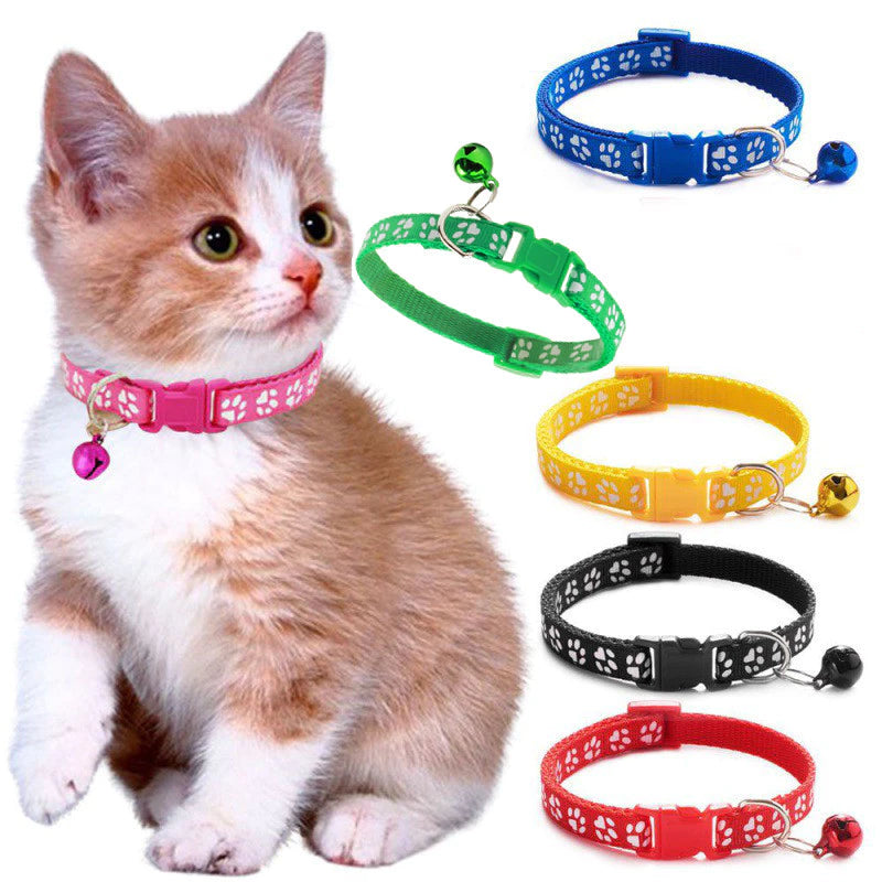 Colar para Gatos